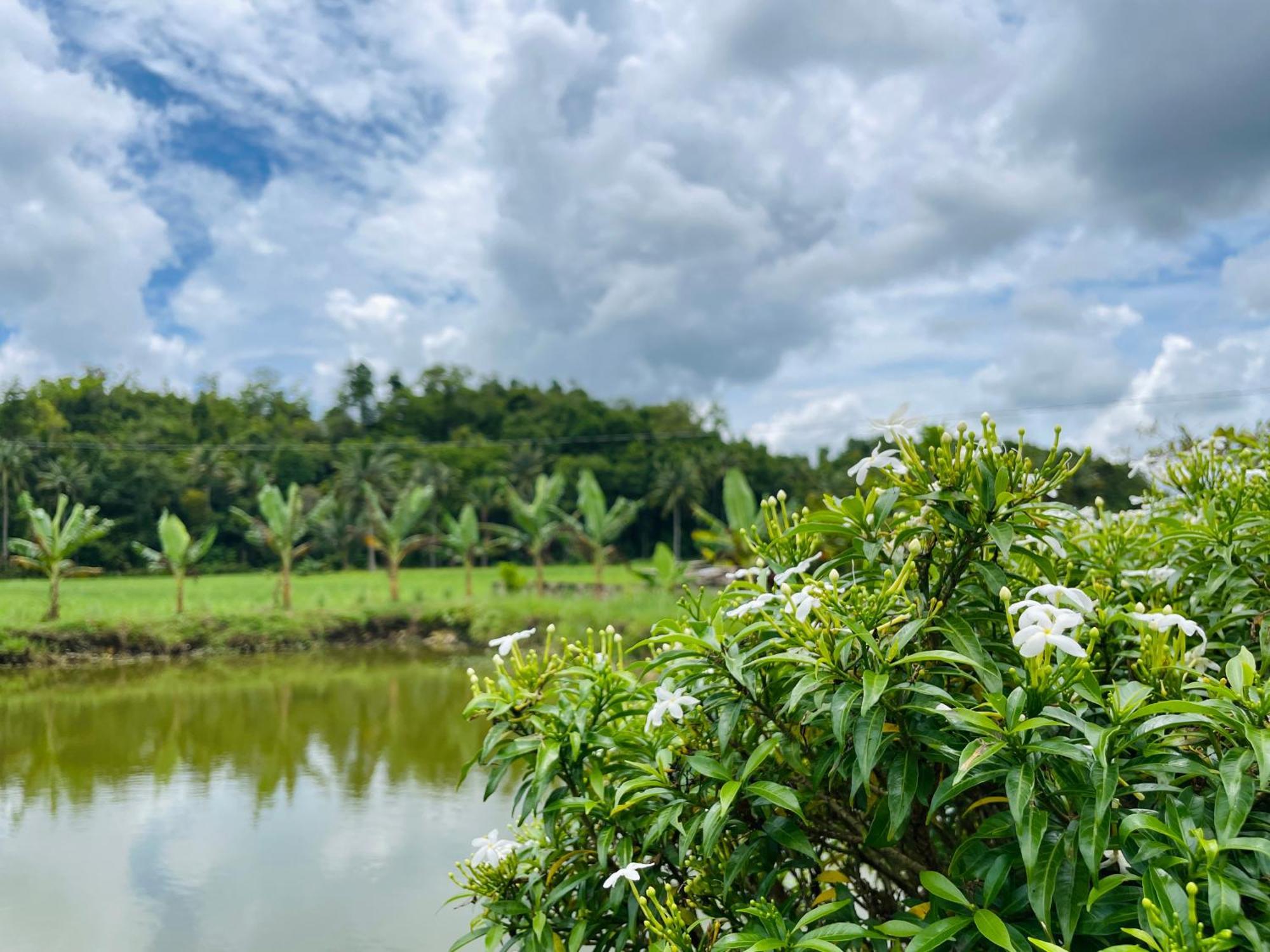 Jazz Ferme Bohol